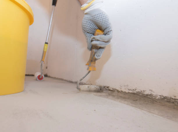 Best Bed Bug Extermination  in Footville, WI